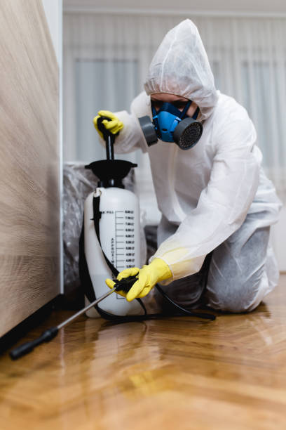 Best Real Estate Pest Inspections  in Mledgevle, IL